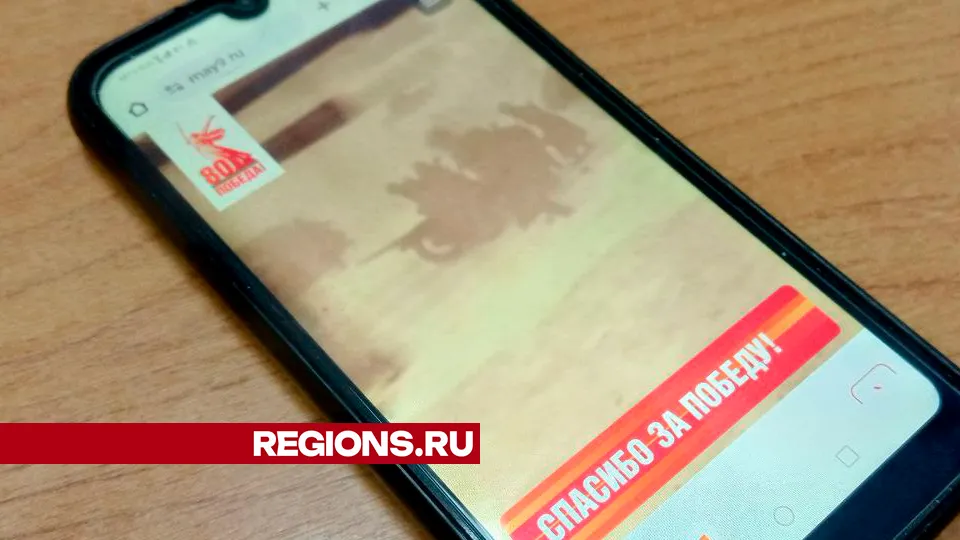 Фото: REGIONS/Василий Тремасов