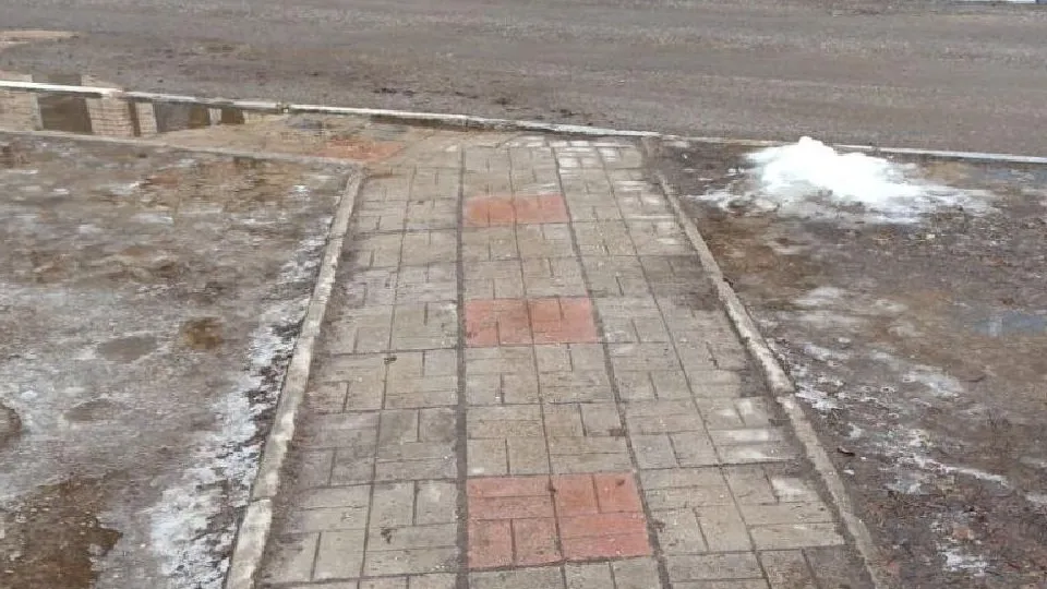 Фото: администрация Одинцовского городского округа