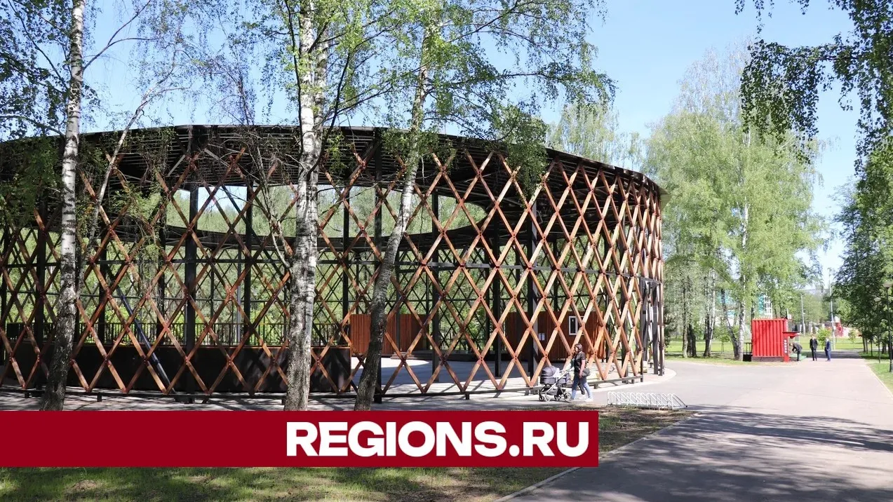 Фото: Regions / Василий Тремасов