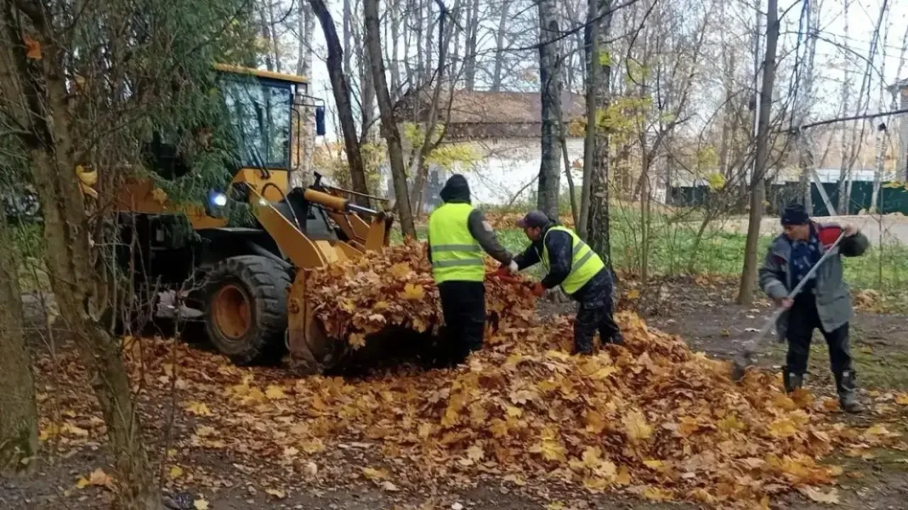Картинка