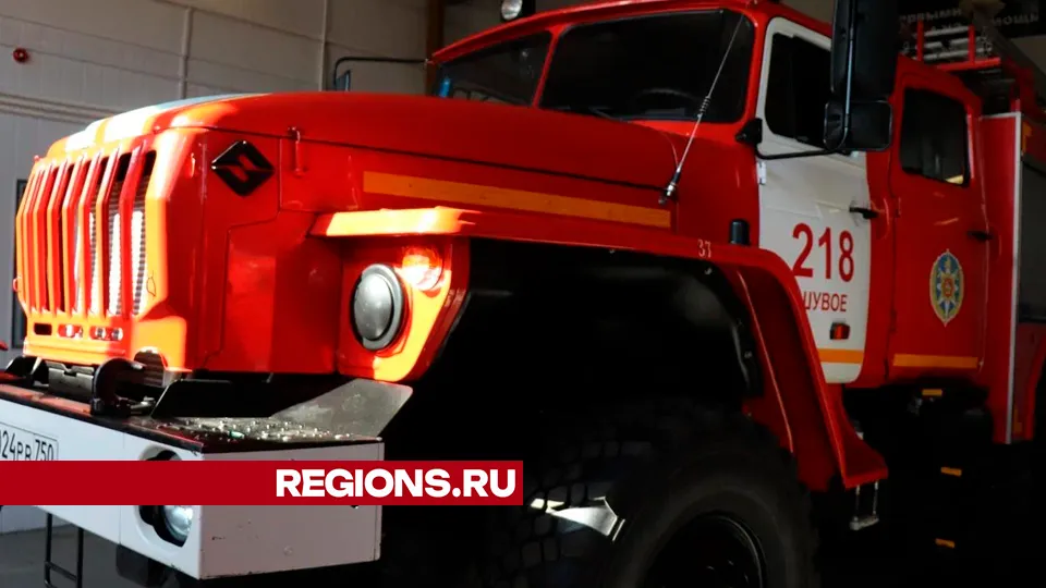 Фото: REGIONS/Василий Тремасов