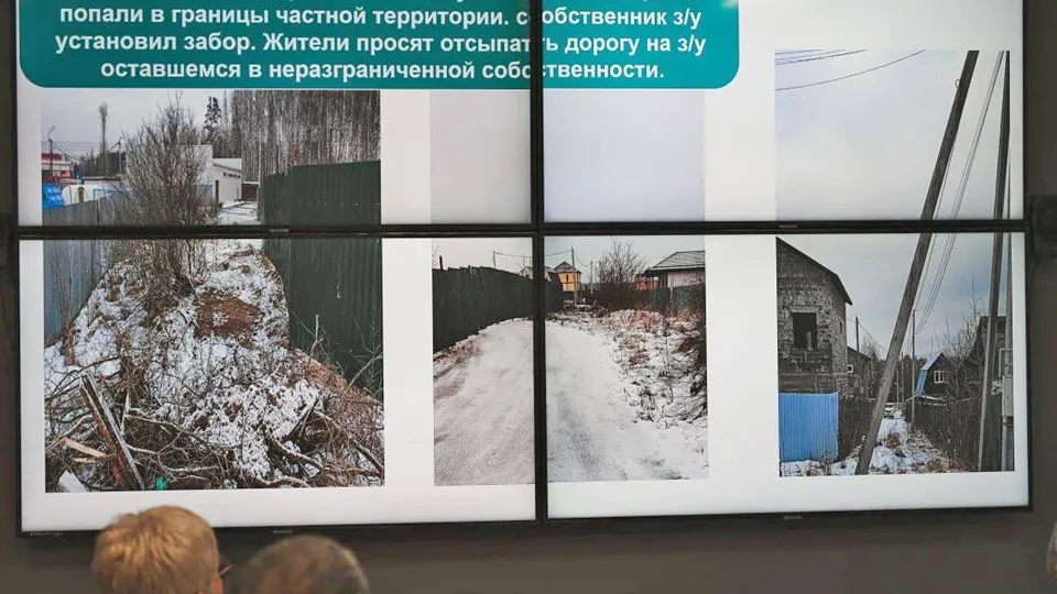 Фото: пресс-служба городской администрации Лосино-Петровского