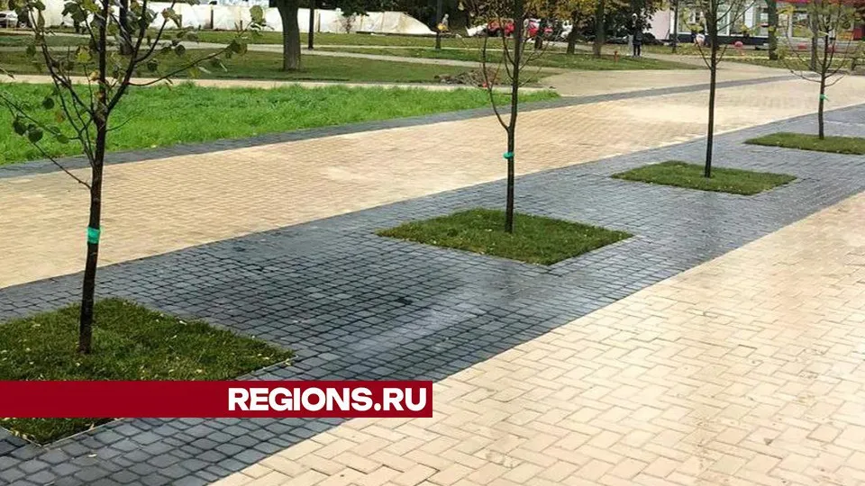 Фото: Министерство благоустройства МО