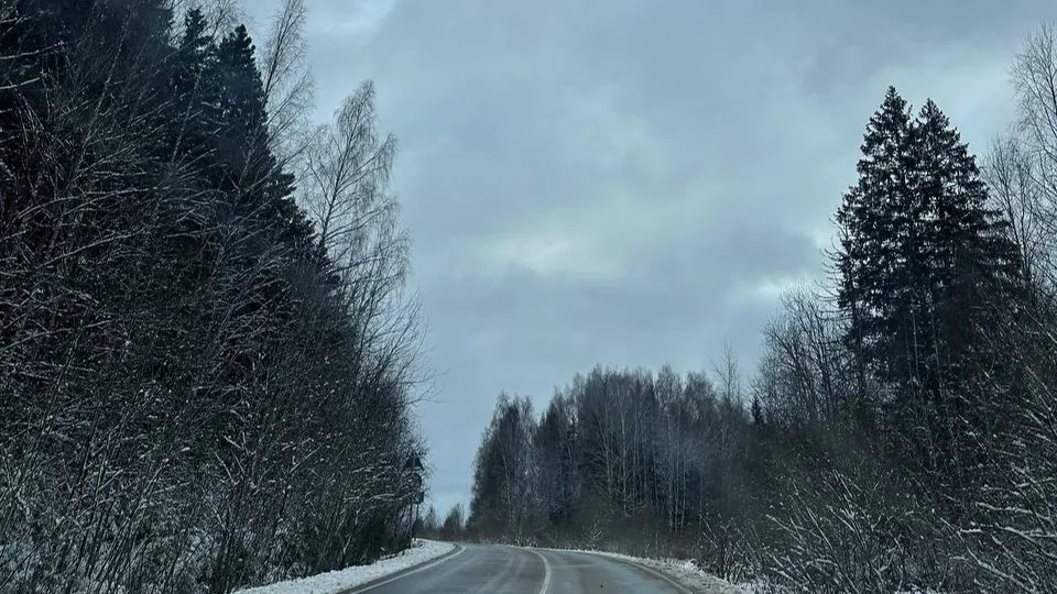 Фото: Александра Серова