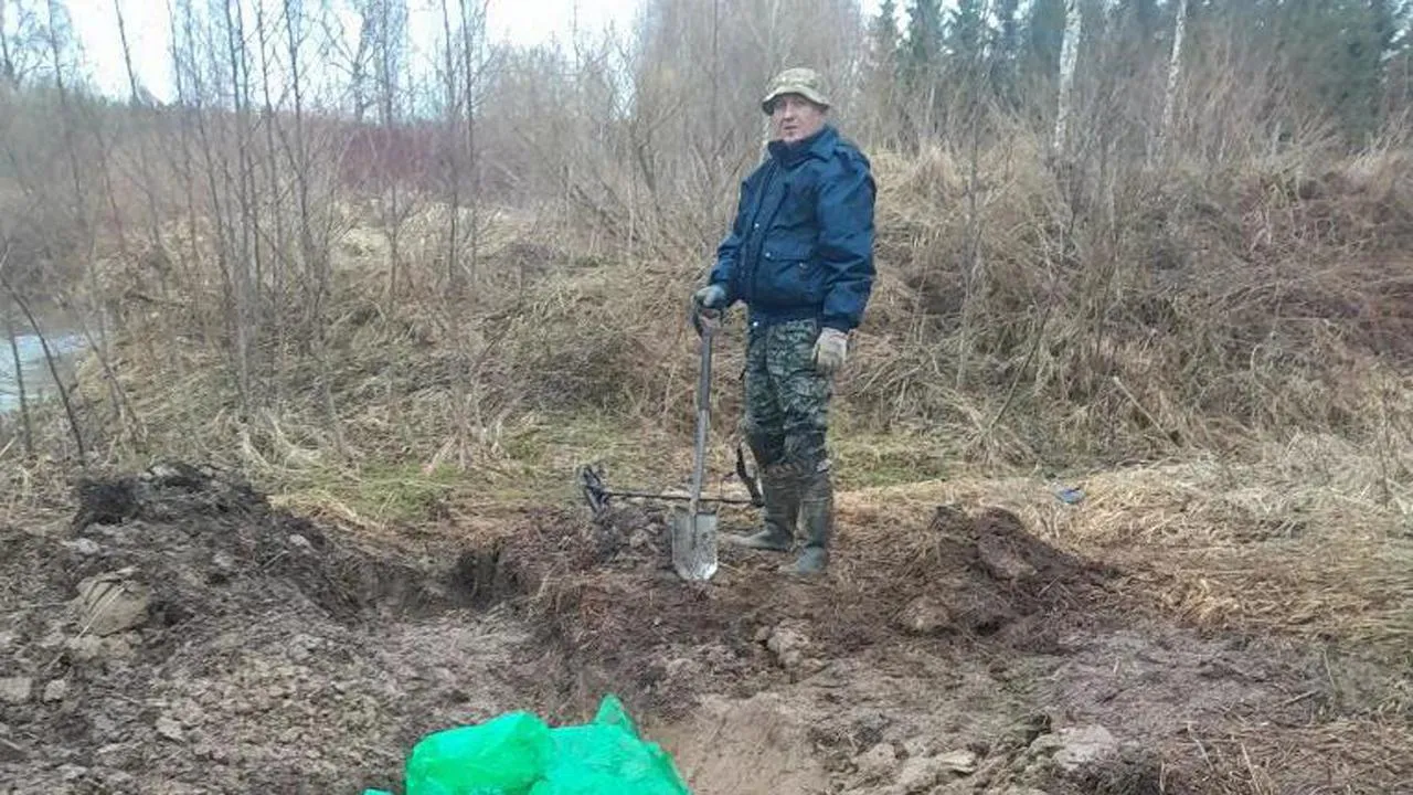 Картинка
