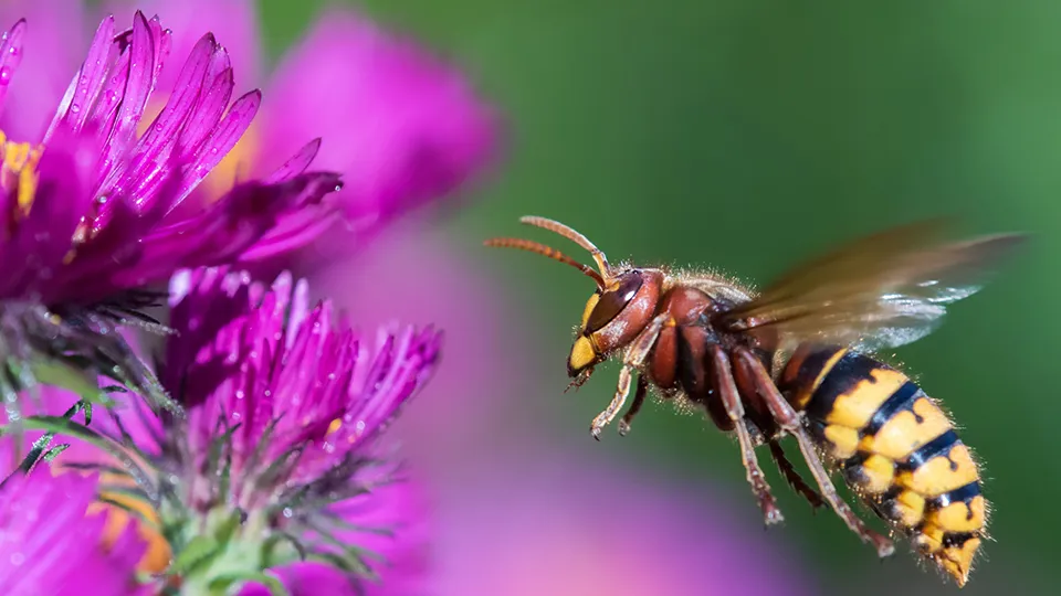 Фото: istockphoto.com