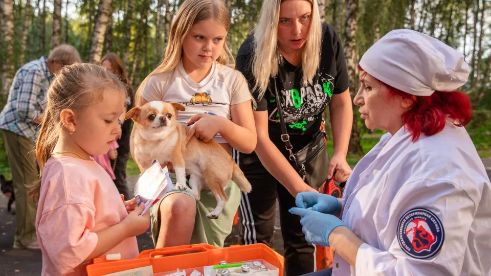 Фото: пресс-служба Администрации г. о. Домодедово