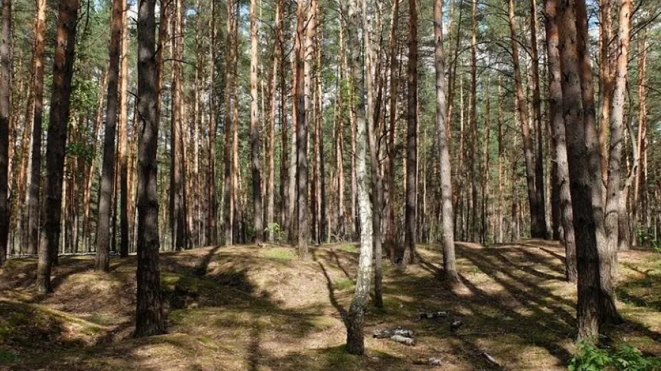 Фото: ПФ Верховье