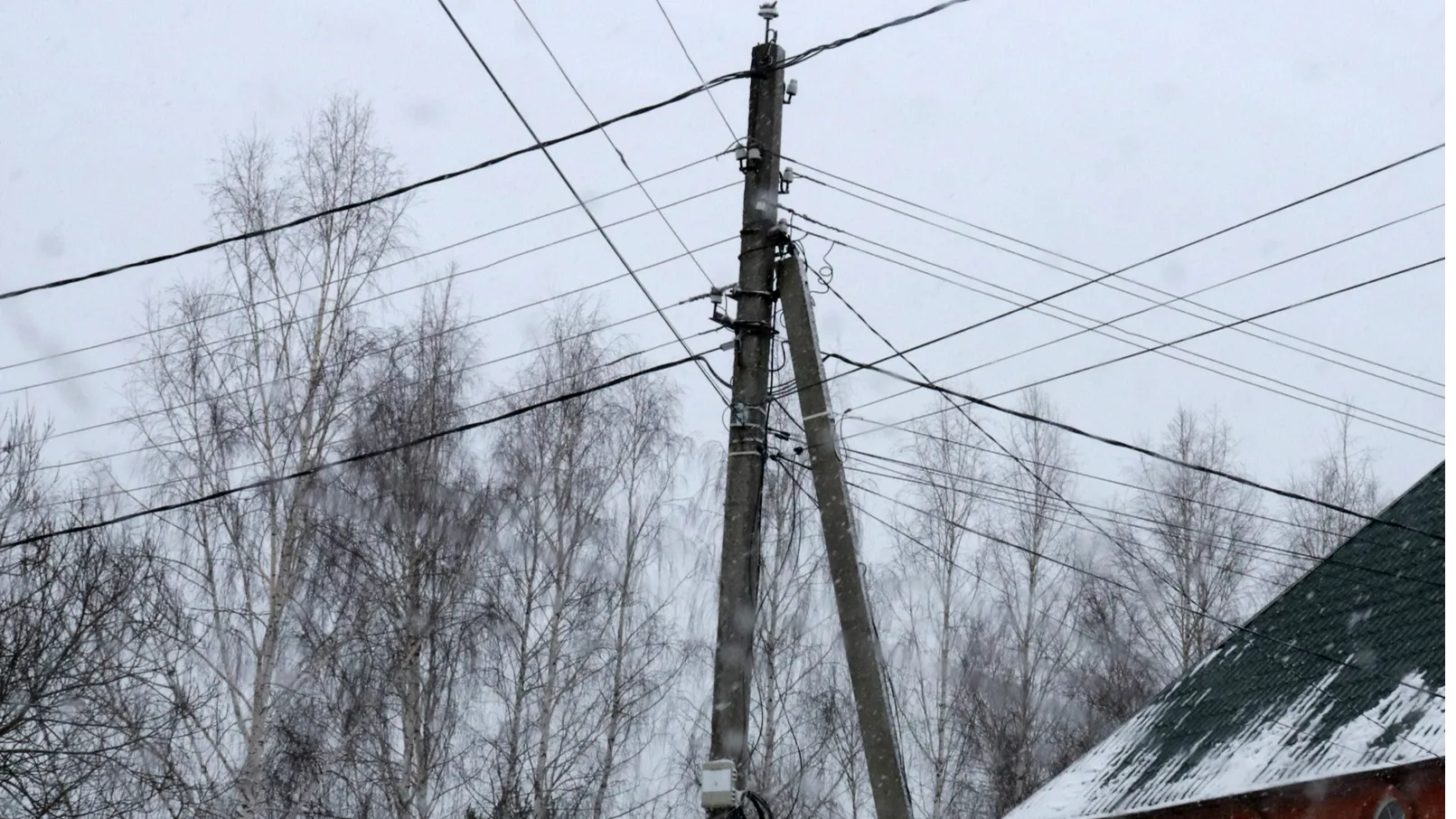 Фото: администрация Рузского г.о.