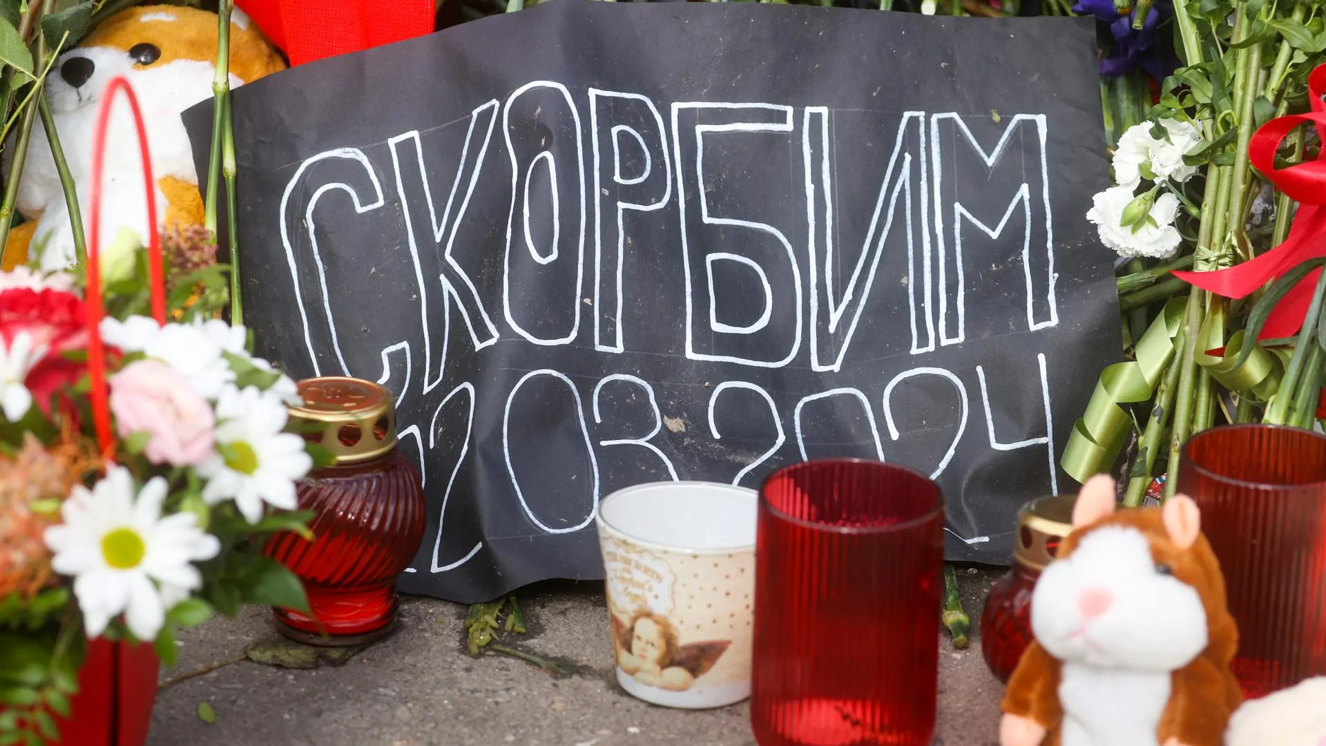 Bulkin Sergey / news.ru
