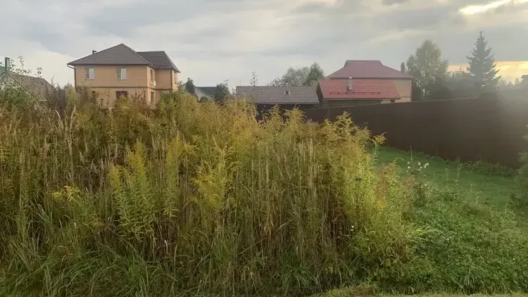 В Подмосковье провели более 60 земельно-имущественных аукционов