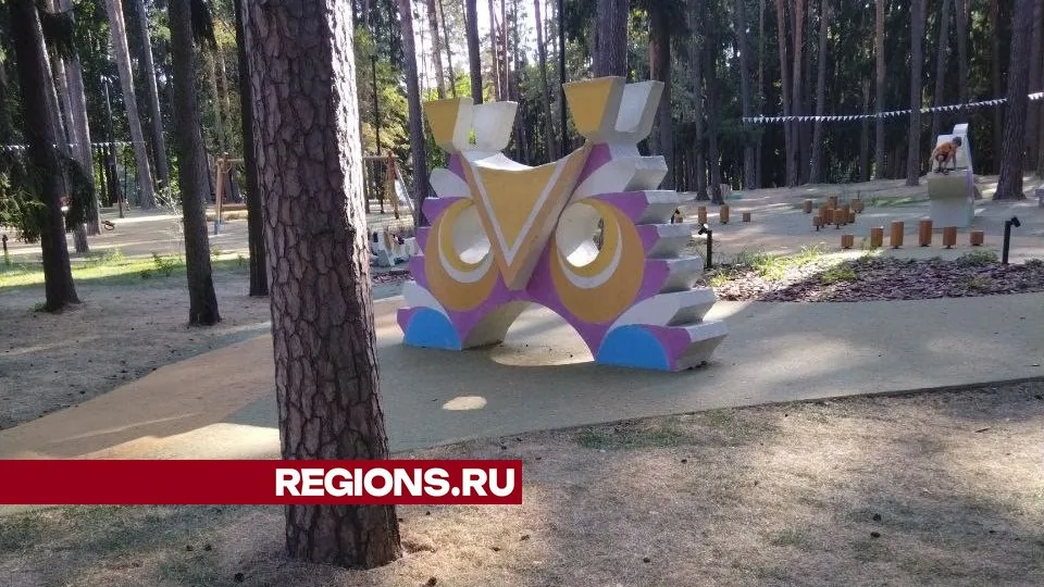 Фото представлено жительницей Жуковского