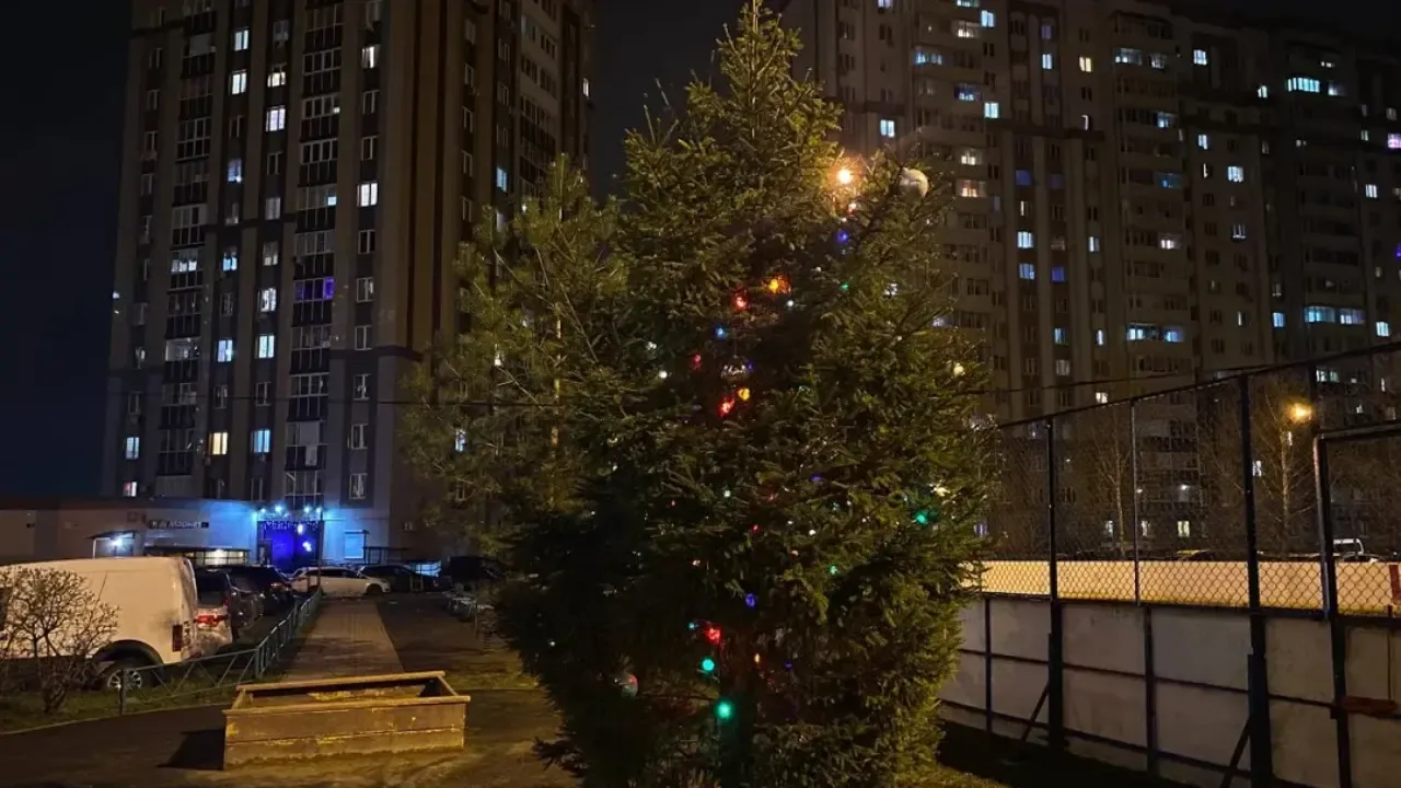 Новый год в мае: в Домодедове обнаружили «вечно праздничное» дерево