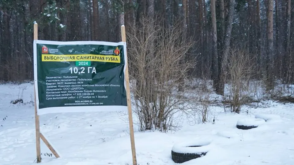 Фото: пресс-служба администрации г.о. Подольск