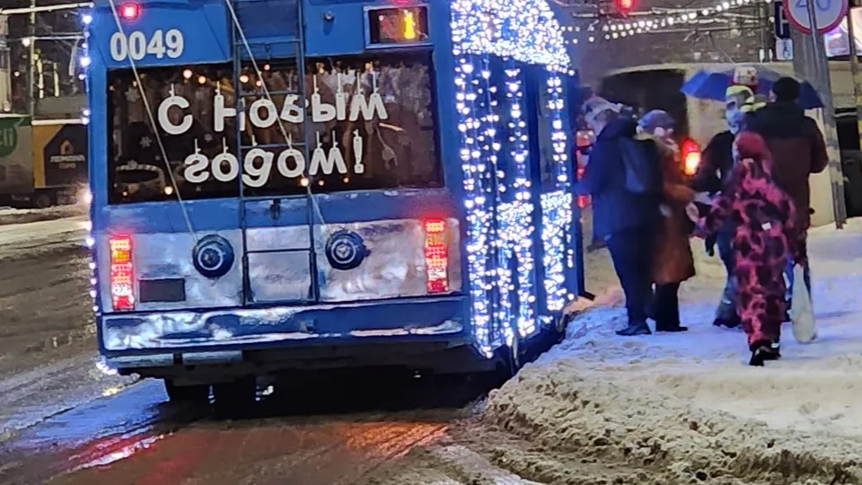 Фото: МедиаБанк Подмосковья/Максим Сафронов