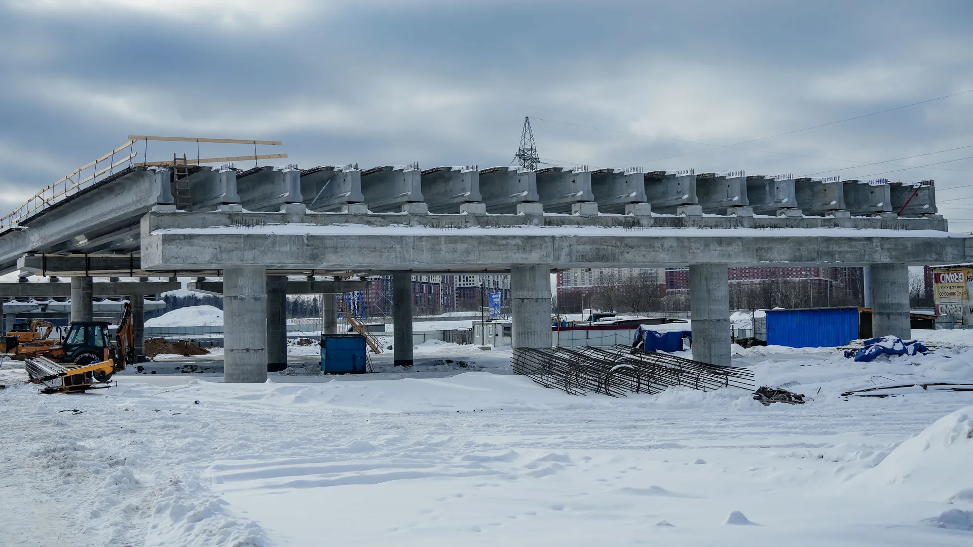 Фото: Александра Степанова