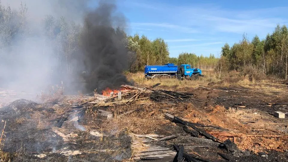 Фото: Комитет лесного хозяйства Московской области