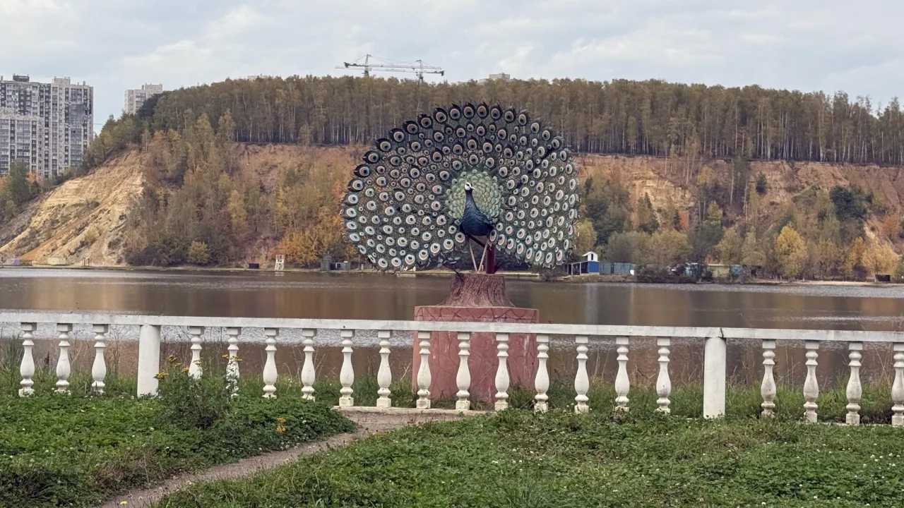 Картинка