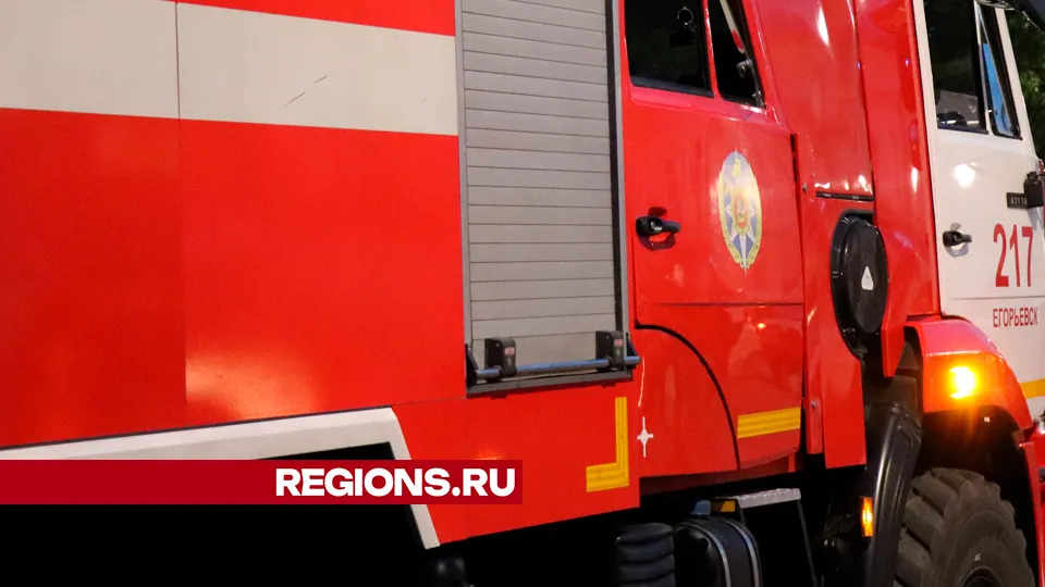 Фото: REGIONS/Василий Тремасов