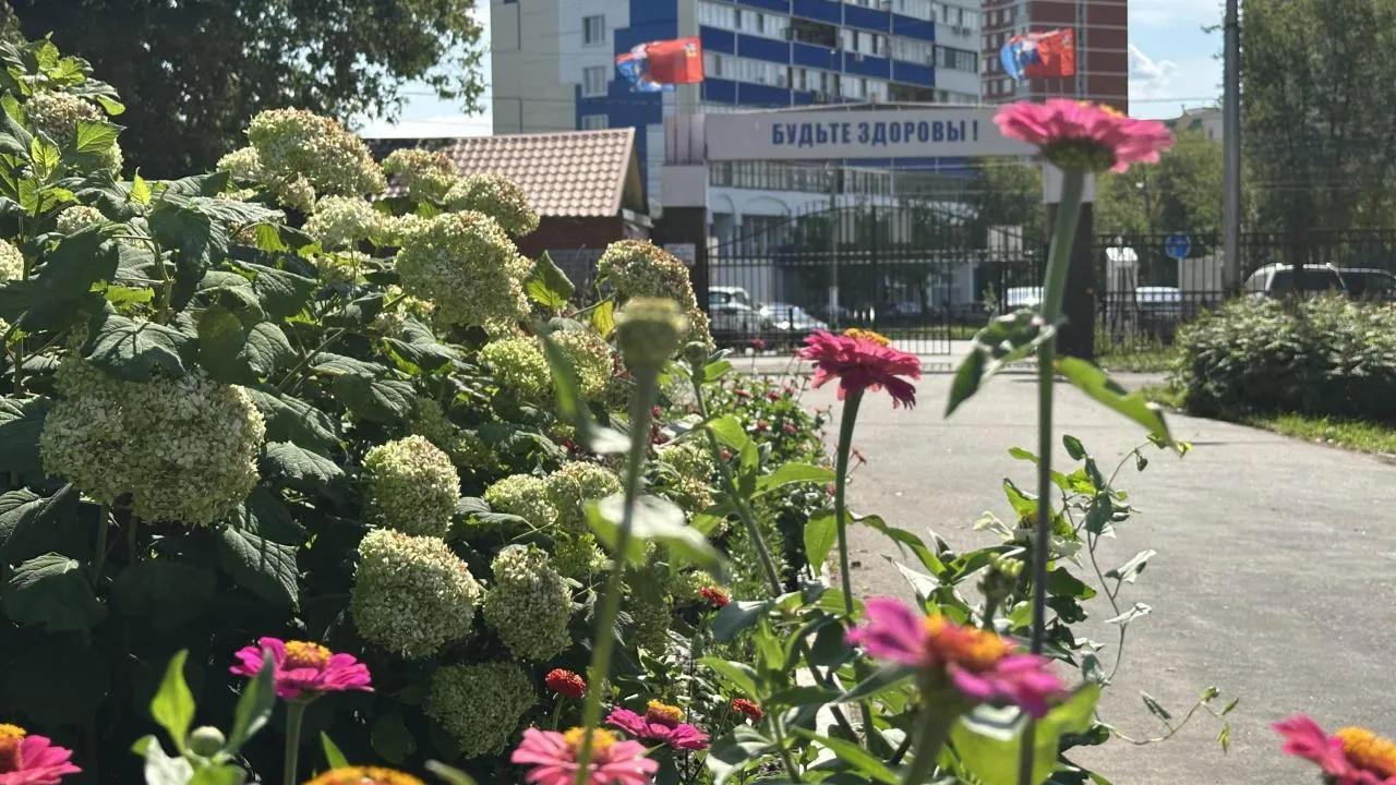 Картинка