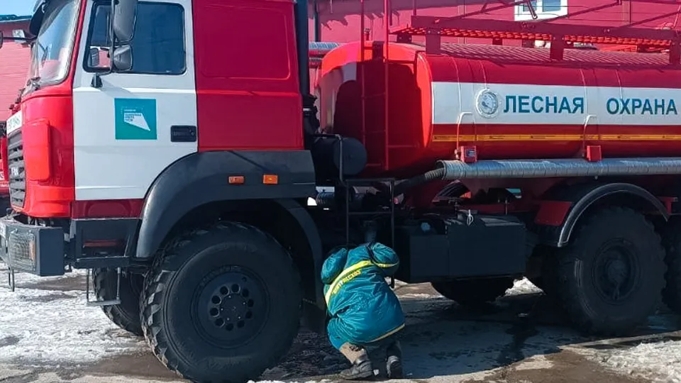 Фото: Комитет лесного хозяйства Московской области
