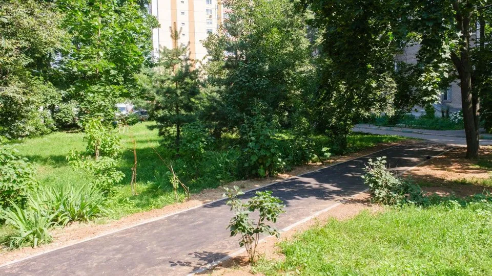 Фото: пресс-служба администрации г.о. Лыткарино
