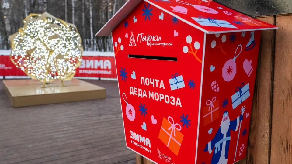 Фото: медиасток.рф