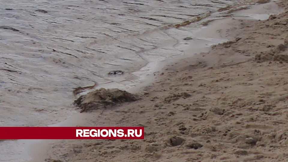Фото: REGIONS/Василий Тремасов