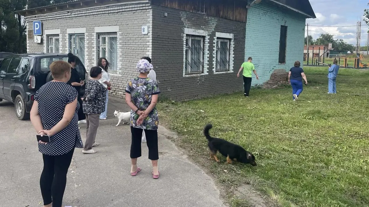 Картинка