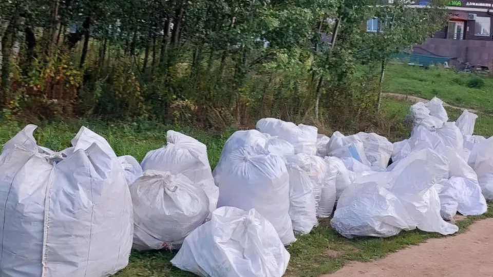 Фото: Министерство по содержанию территорий и государственному жилищному надзору Московской области
