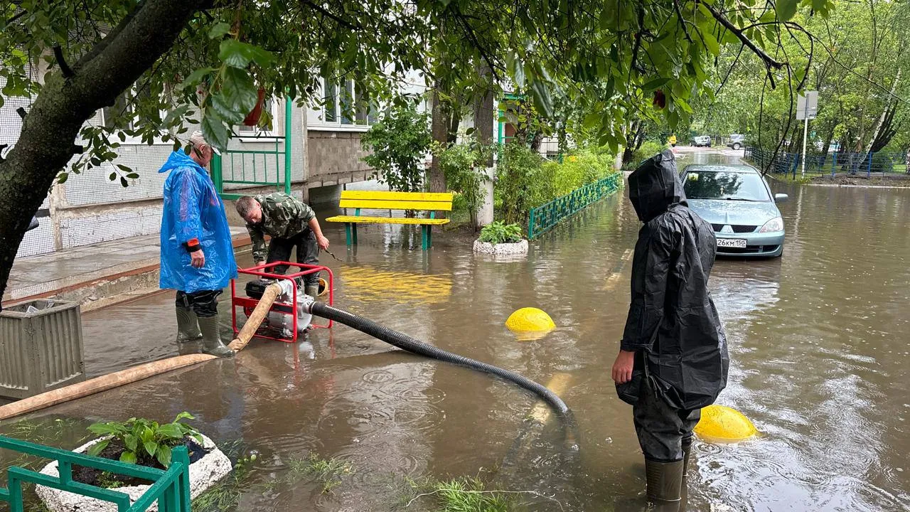 Фото: администрация г.о. Красногорск