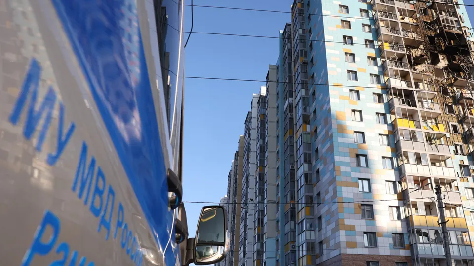 Фото: пресс-служба губернатора и правительства Московской области