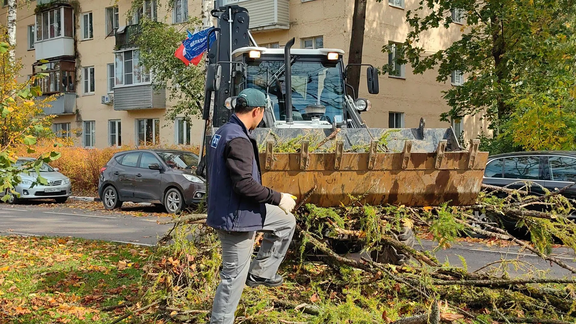 Картинка