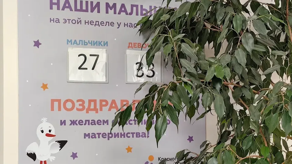 Фото: Красногорская больница