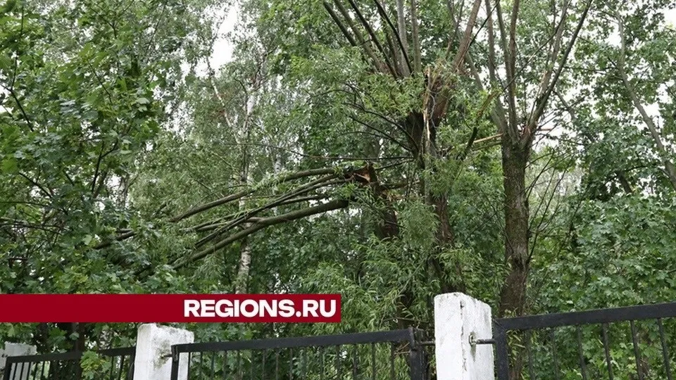 Фото: Александр Дрожжин