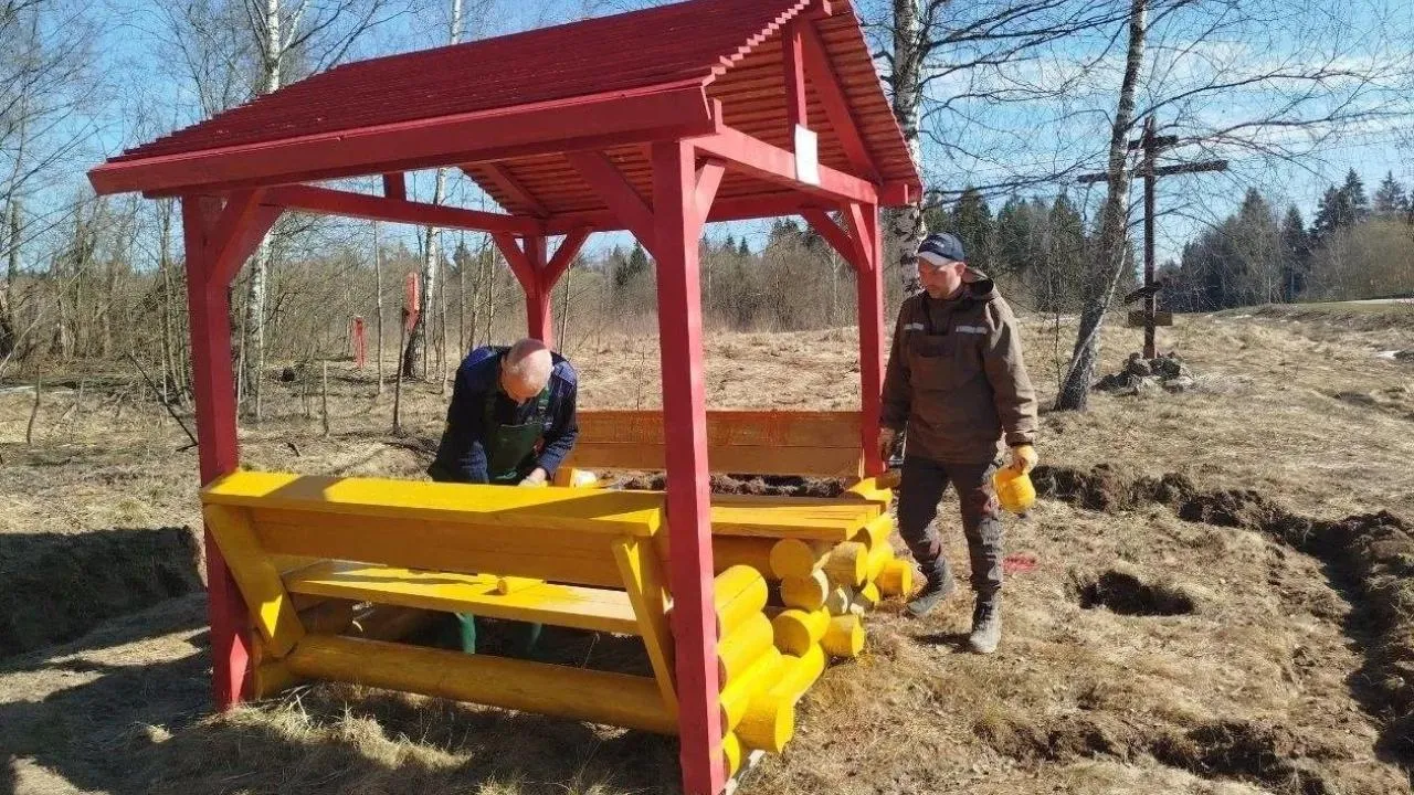 В лесах округа Пушкинский начались противопожарные мероприятия
