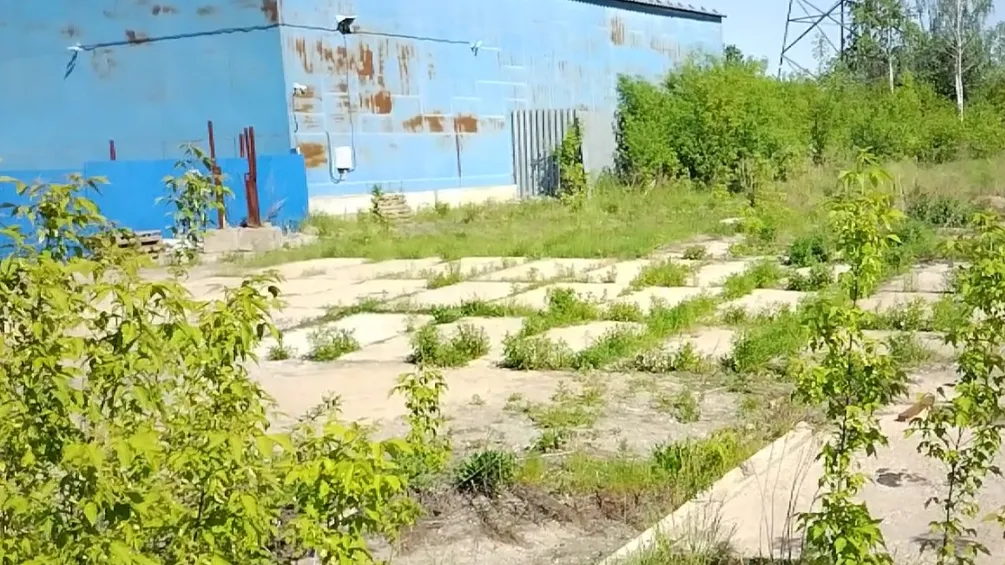 Фото: Комитет по конкурентной политике МО