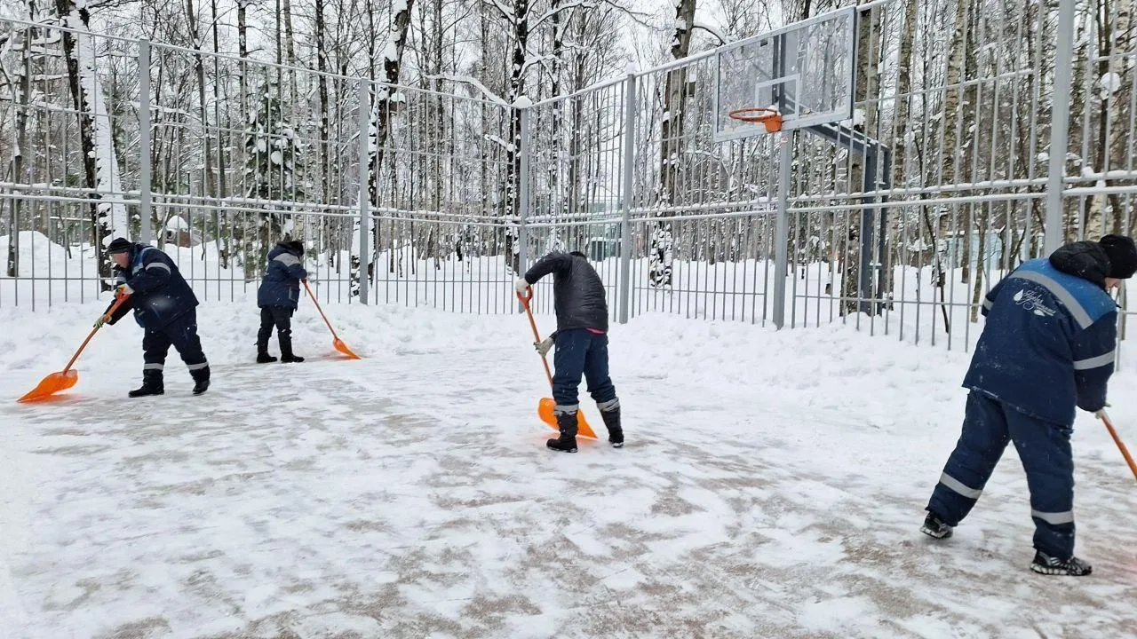 Картинка
