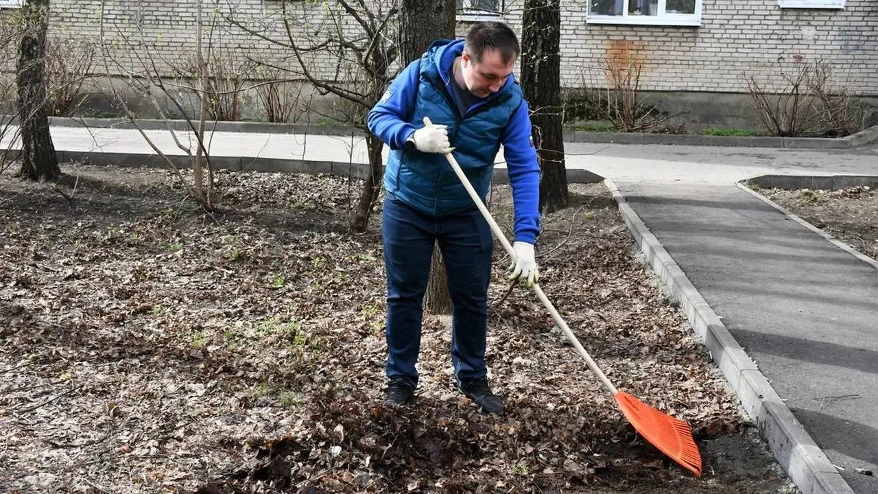 Картинка