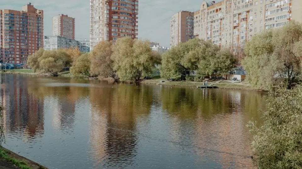 Фото: пресс-служба администрации г.о. Химки