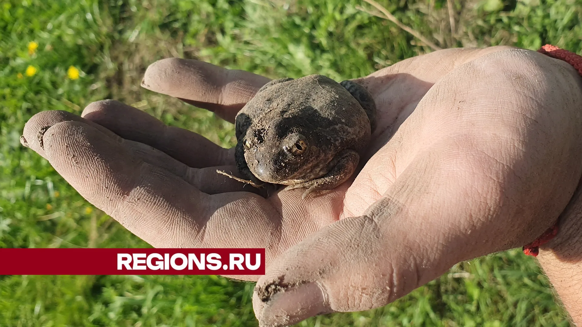 Фото Александра Дрожжина