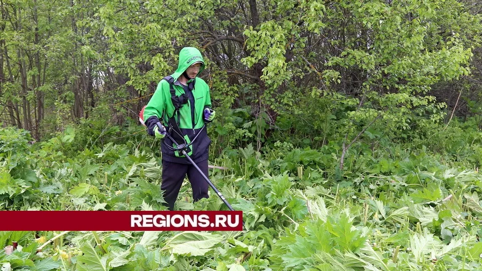Фото: пресс-служба администрации городского округа Луховицы