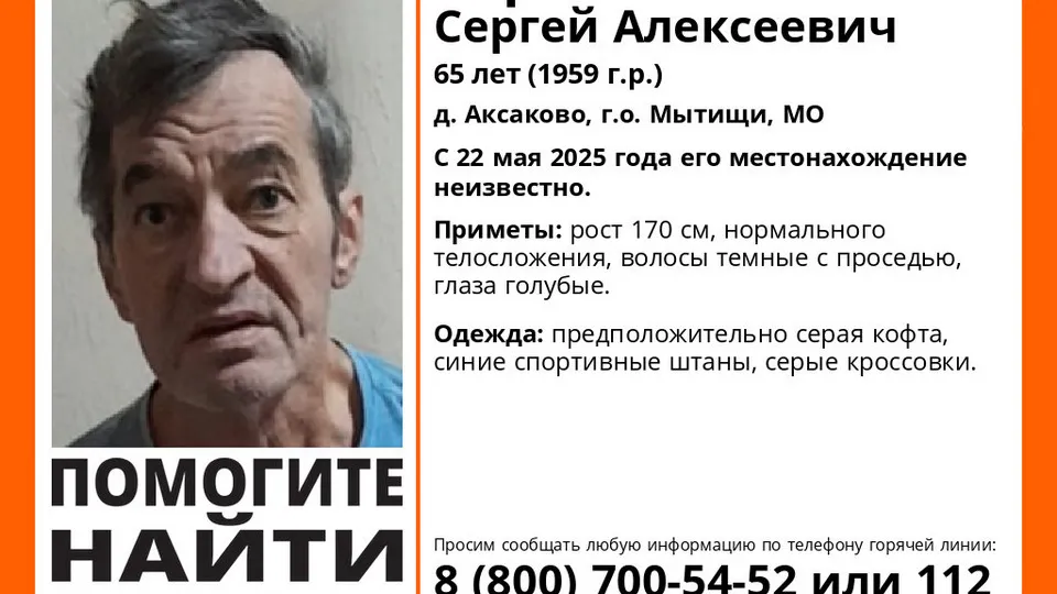 Фото: Поисково-спасательный отряд «Лиза Алерт»