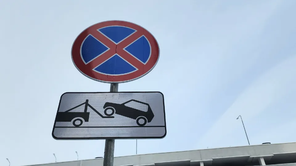 Фото: Медиабанк Подмосковья/ Анастасия Сараева