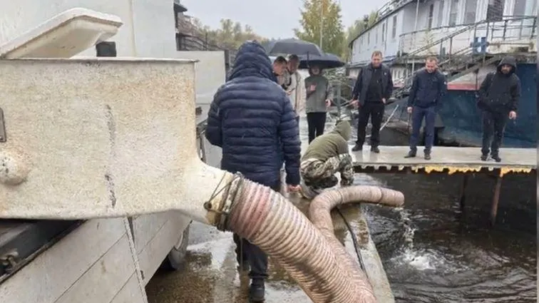 Картинка
