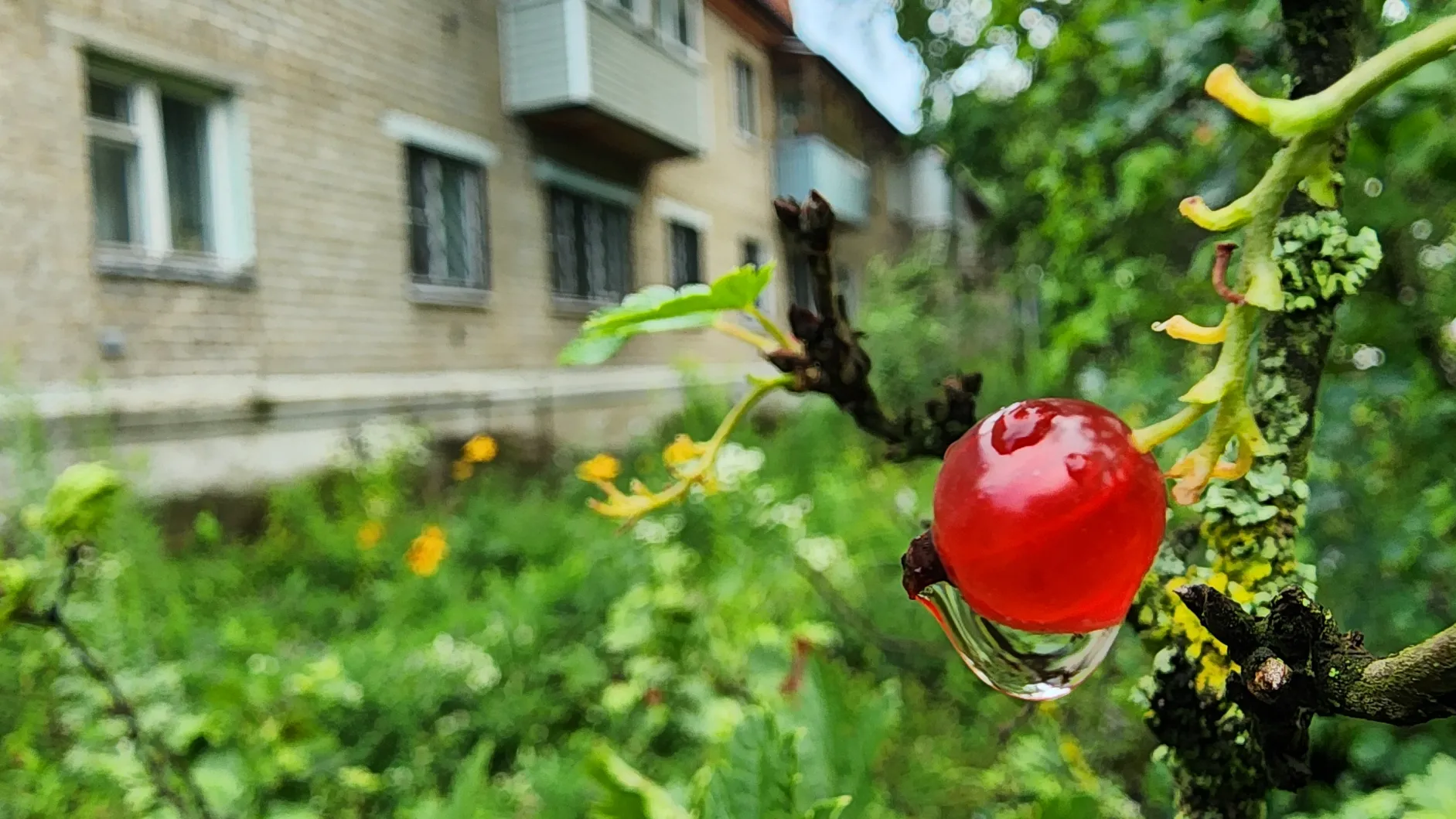 Фото: REGIONS/Ксения Пашуто