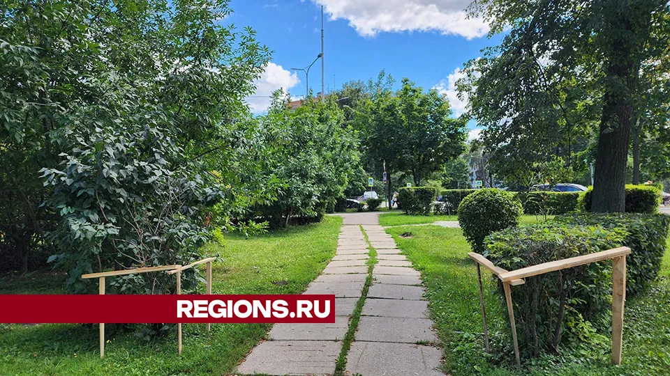 Фото: Роман Савельев