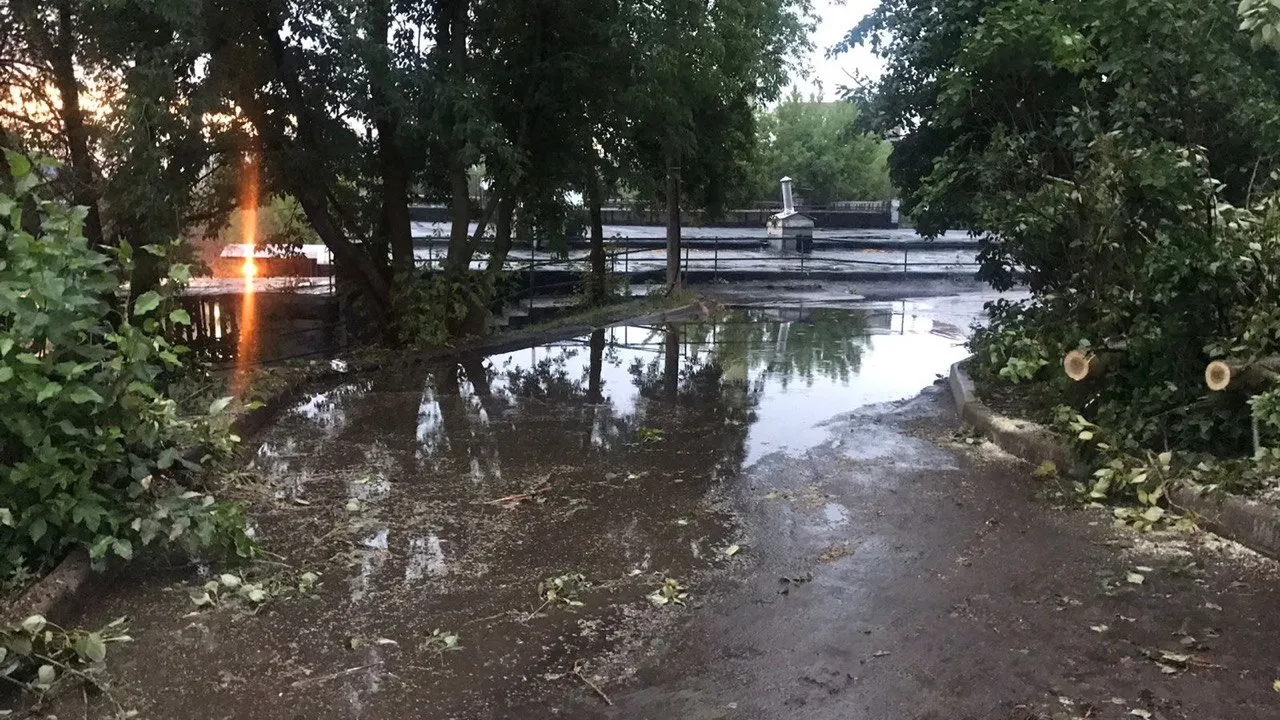 Фото: Михаил Моисеев