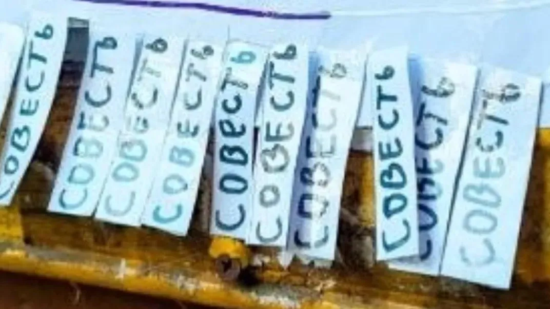 В Малаховке жителям предложили разобрать совесть