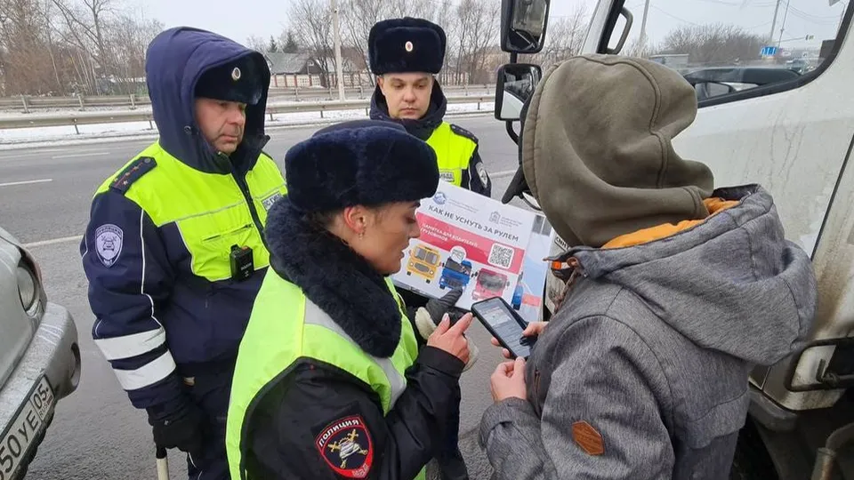 Фото: Госавтоинспекция Домодедова